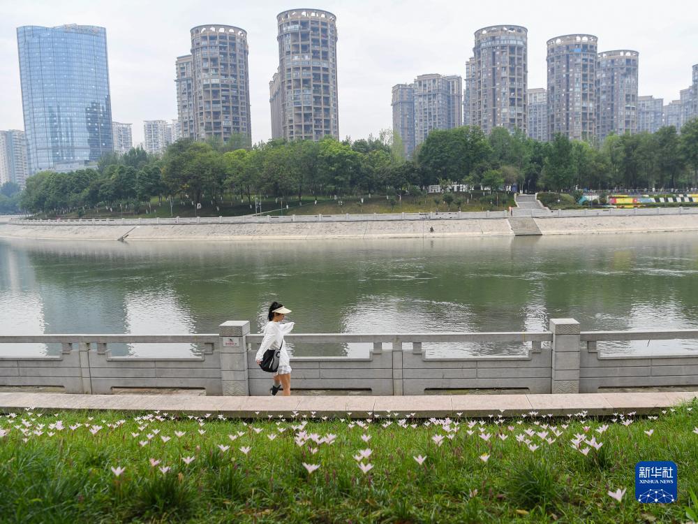 免佣百家乐